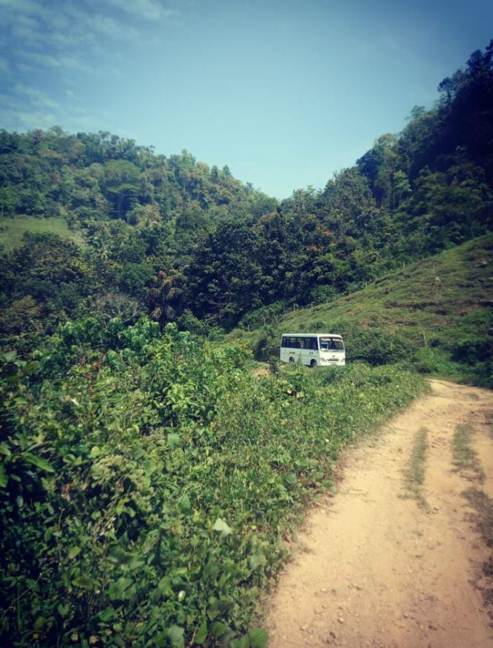 Guest van at Forest Shade